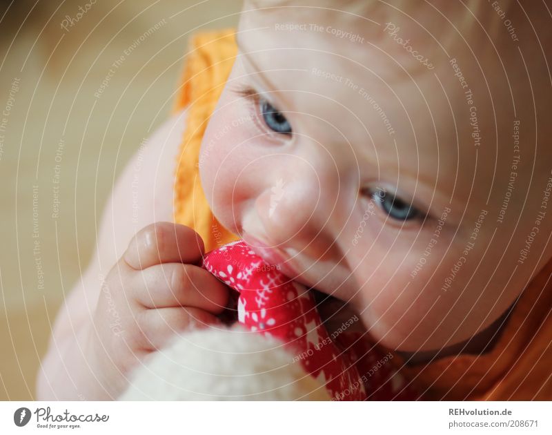 "Schmeckt gar nicht mal so gut." Kind Baby 1 Mensch 0-12 Monate Glück klein Neugier entdecken Erfahrung Freude Spielen blond Finger Versuch Spielzeug rot beißen