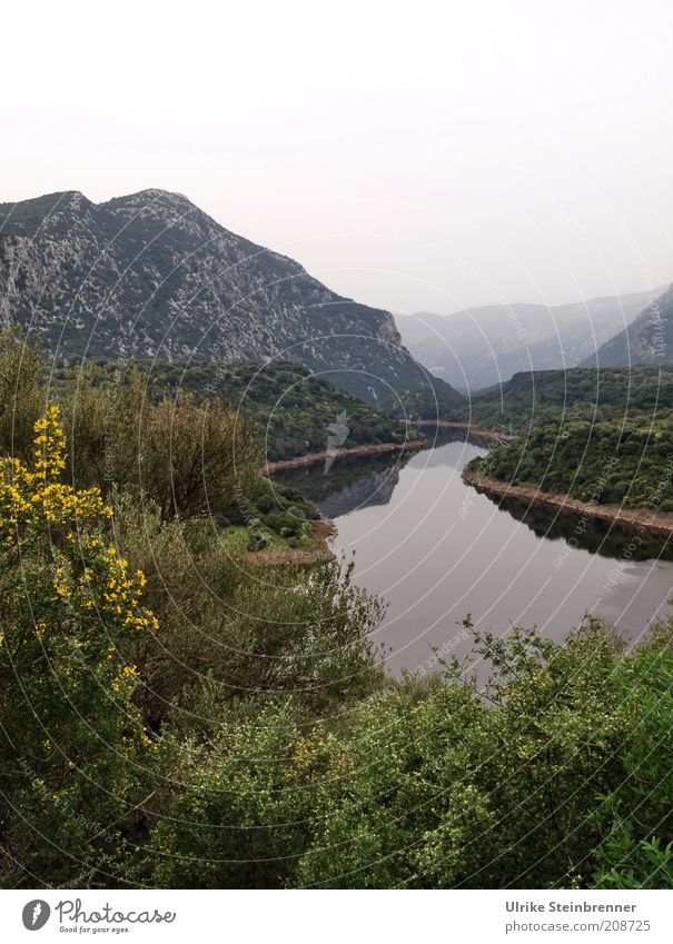 Fluss in Sardinien schön ruhig Berge u. Gebirge Natur Landschaft Wasser Nebel Baum Sträucher Felsen Flussufer Wachstum grün Vergänglichkeit Tal Wildnis Dunst