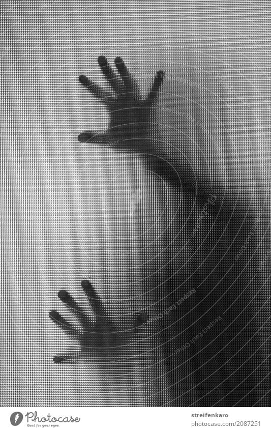 Menschliche Silhouette hinter einer Glasscheibe, die Hände berühren die Scheibe Frau Erwachsene Mann Hand 1 30-45 Jahre ästhetisch grau schwarz weiß Gefühle