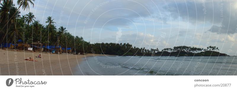 Wolken im Paradies (Panorama Indien) Palme Sommer Strand grün Physik Arabisches Meer Unendlichkeit Goa Bucht Sonne Urwald Wärme verstecken Paradise Beach