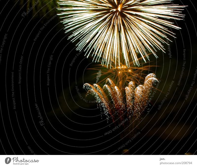 Feuerblume elegant Stil Freude Feste & Feiern Silvester u. Neujahr Kunst Kunstwerk Veranstaltung Show Zeichen fantastisch mehrfarbig gelb gold rot schwarz