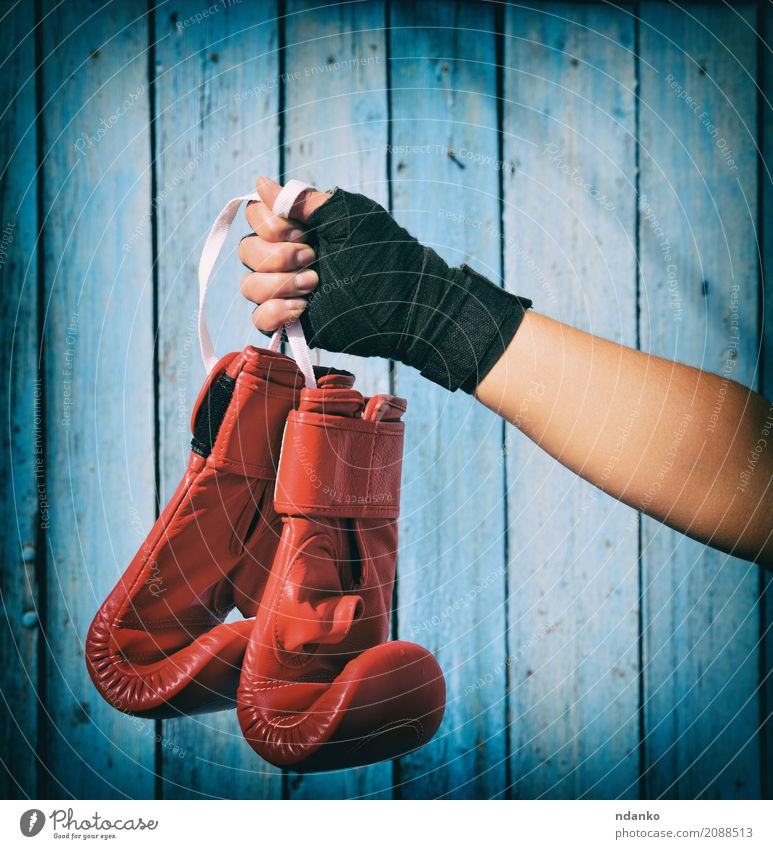 Paar rote Kickboxhandschuhe Körper Sport Erfolg Verlierer Seil Mensch Frau Erwachsene Hand 1 18-30 Jahre Jugendliche Leder Handschuhe Holz hängen blau schwarz