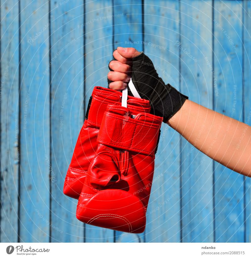 Rote Boxhandschuhe Sport Erfolg Verlierer Frau Erwachsene Hand 1 Mensch 18-30 Jahre Jugendliche Leder Handschuhe hängen sportlich rot schwarz Macht Idee