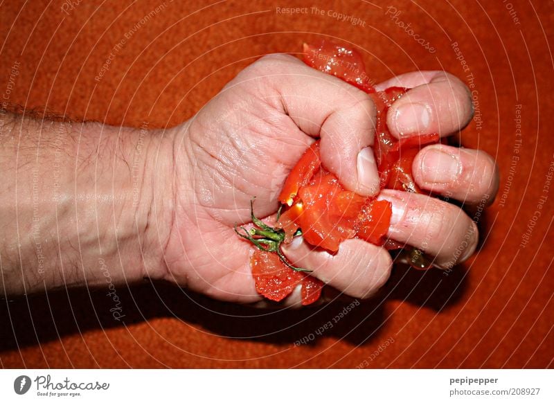 tomatina für arme Lebensmittel Gemüse maskulin Mann Erwachsene Hand 1 Mensch Nutzpflanze Aggression außergewöhnlich bedrohlich Ekel kaputt saftig rot Macht