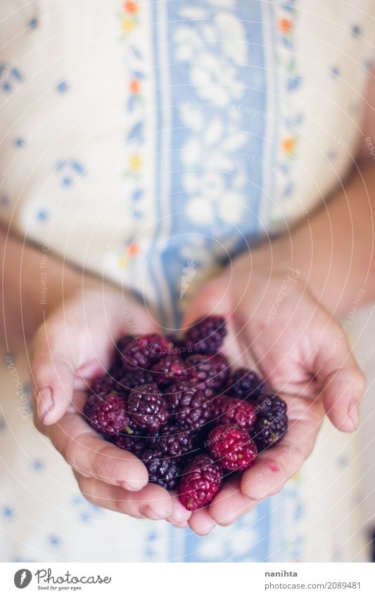 Hände der alten Frau, die Brombeeren halten Lebensmittel Frucht Ernährung Bioprodukte Vegetarische Ernährung Mensch feminin Junge Frau Jugendliche Senior Hand 1