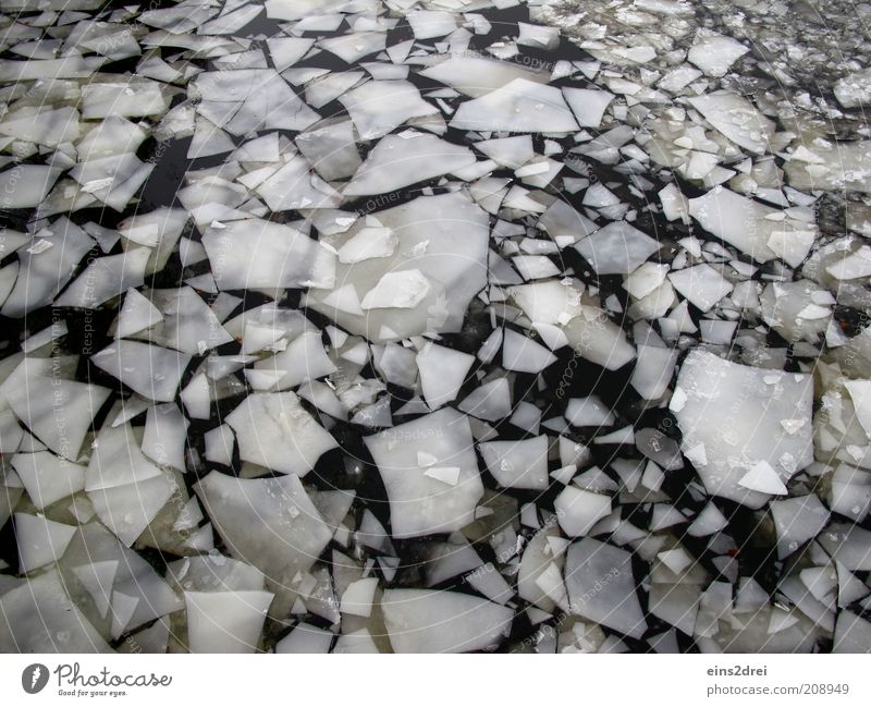 Eiszeit Winter Umwelt Urelemente Wasser Klima Klimawandel Wetter Fluss eckig fest Flüssigkeit kalt nass schwarz weiß bizarr chaotisch Eisscholle Farbfoto