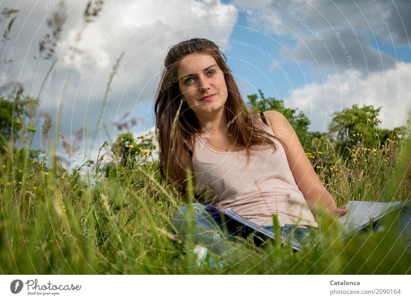 Lernen im hohen Gras auf der Wiese lernen feminin Junge Frau Jugendliche 18-30 Jahre Erwachsene Natur Himmel Wolken Sommer Schönes Wetter Heft Buch Aktenordner