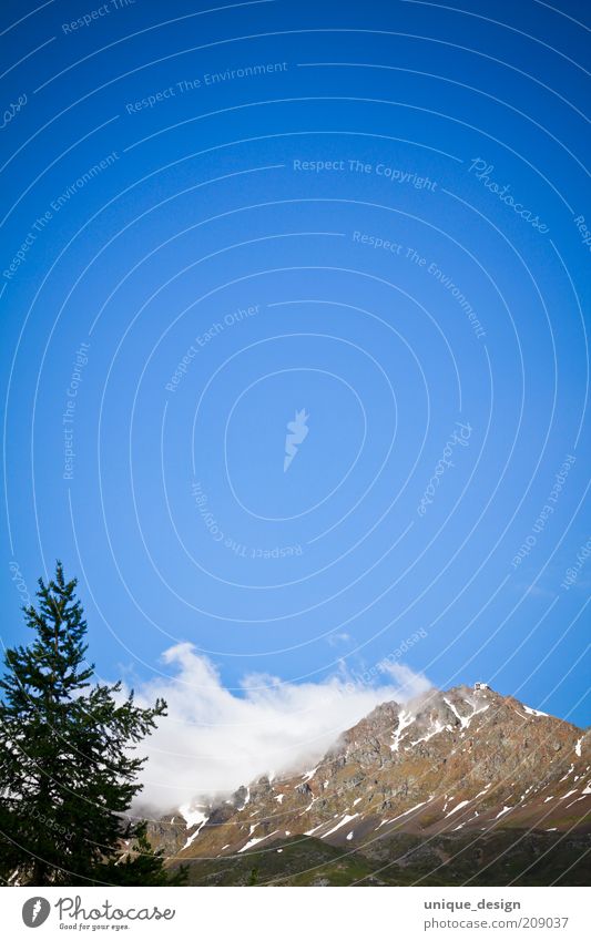 Himmel & Berge (2) Umwelt Natur Landschaft Pflanze Wolken Sommer Schönes Wetter Felsen Alpen Berge u. Gebirge Schweiz Farbfoto Außenaufnahme Menschenleer