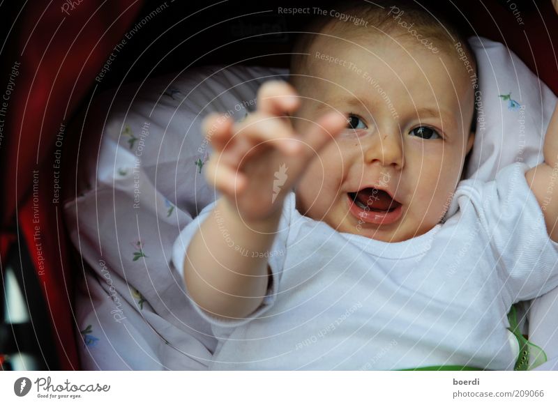 wIllhaben Mensch Kind Baby Kindheit Leben Gesicht 1 0-12 Monate Kinderwagen entdecken liegen Blick lustig nah Neugier niedlich Freude Lebensfreude Begeisterung