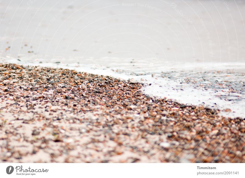Abkühlung. Ferien & Urlaub & Reisen Strand Wellen Umwelt Urelemente Sand Luft Wasser Nordsee Dänemark Stein einfach natürlich braun grau weiß Gischt Farbfoto