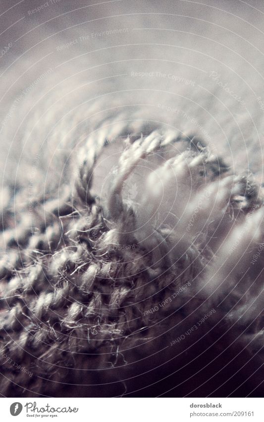 wolle Mode Stoff ästhetisch kuschlig grau Wolle Makroaufnahme Unschärfe stricken Strickmuster Gedeckte Farben abstrakt Strukturen & Formen Menschenleer