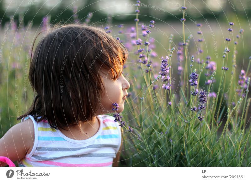 kleines Mädchen im Lavendelgarten Lifestyle Freude Alternativmedizin Wellness Leben harmonisch Wohlgefühl Zufriedenheit Sinnesorgane Erholung ruhig Meditation
