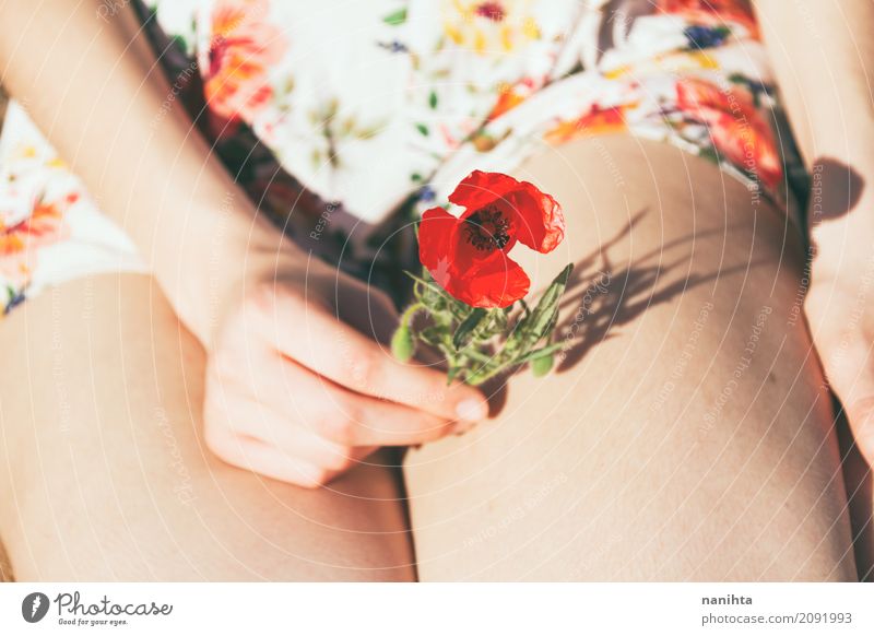 Die Hand der jungen Frau, die eine Mohnblumenblume anhält Lifestyle Sinnesorgane Duft Mensch feminin Junge Frau Jugendliche Beine 1 18-30 Jahre Erwachsene Natur