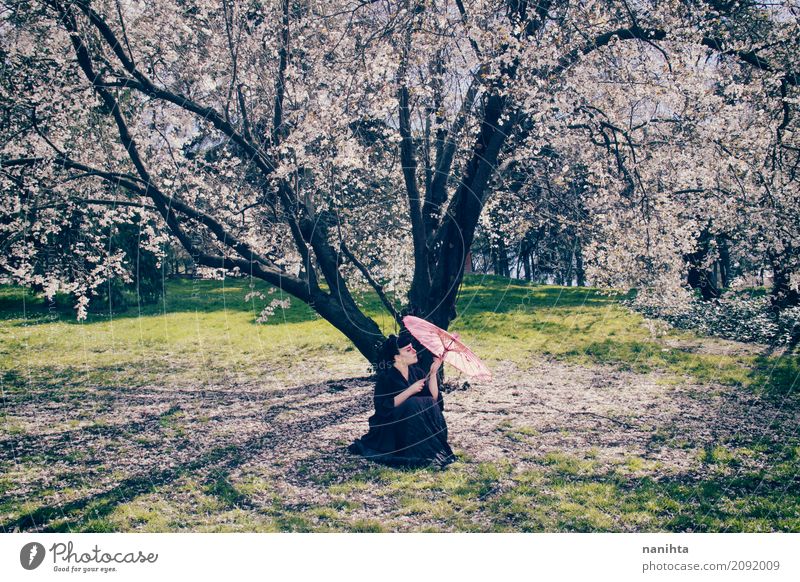 Frau mit einem Regenschirm unter einem schönen blühenden Baum elegant Stil exotisch Mensch feminin Junger Mann Jugendliche 1 18-30 Jahre Erwachsene Umwelt Natur