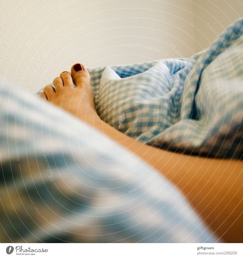 rise and shine Mensch feminin Frau Erwachsene Beine Fuß Zehen Zehennagel Körperteile 1 liegen schlafen Leben aufwachen Bett Bettwäsche kariert lackiert