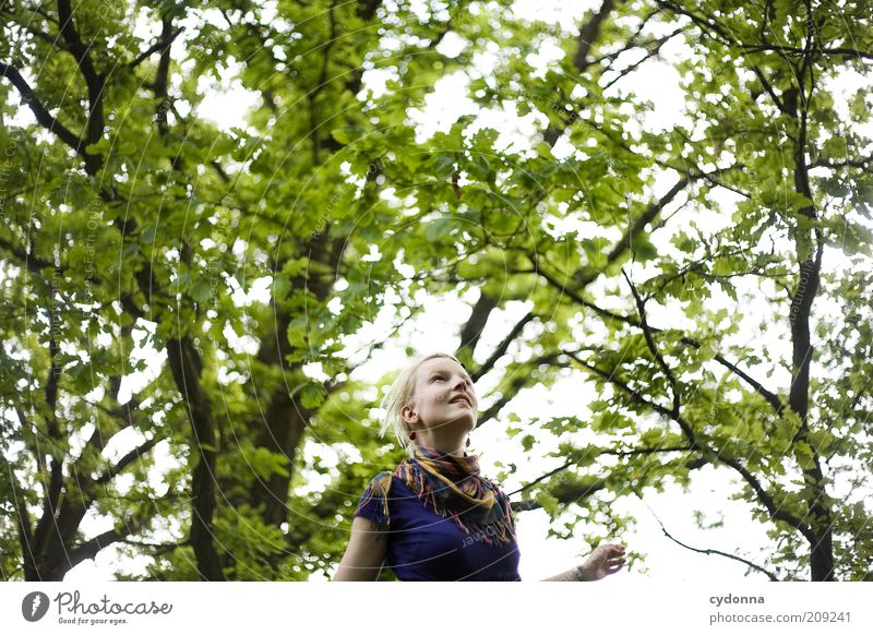 Über mir Lifestyle schön Gesundheit Leben Wohlgefühl ruhig Freiheit Junge Frau Jugendliche 18-30 Jahre Erwachsene Umwelt Natur Landschaft Frühling Baum Wald
