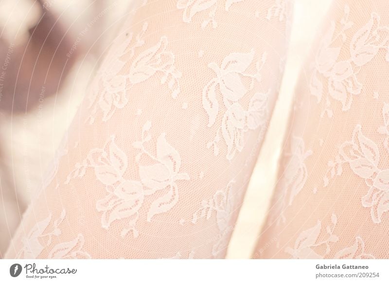 Beine feminin 1 Mensch Mode Bekleidung Strümpfe hell dünn weiß durchscheinend Farbfoto Schwache Tiefenschärfe schimmern durchsichtig Muster rosa Haut