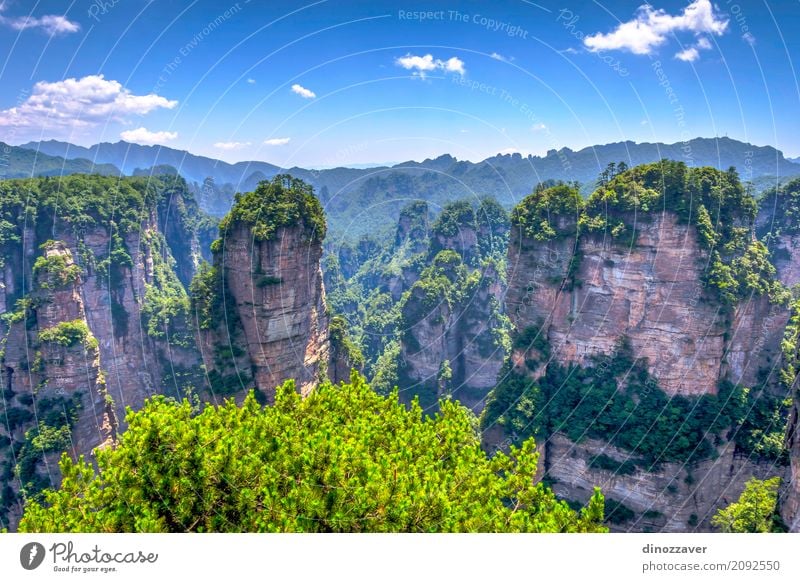 Sandsteinspalten in Nationalpark Zhangjiajie, China schön Ferien & Urlaub & Reisen Tourismus Sightseeing Berge u. Gebirge Natur Landschaft Erde Himmel Baum Park