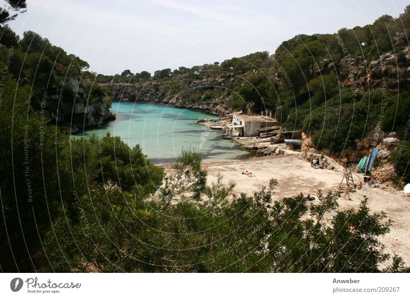 Cala Pi - Traumbucht auf Mallorca Umwelt Natur Landschaft Urelemente Wasser Wolkenloser Himmel Sommer Schönes Wetter Schlucht Strand Bucht Fjord Meer Mittelmeer