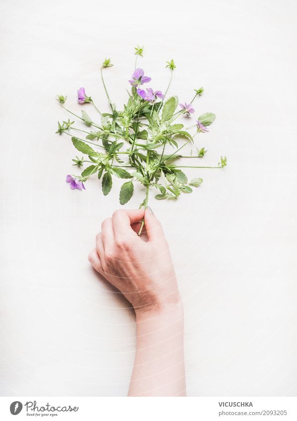 Weibliche Hand hält Blumen Lifestyle Stil Design Freizeit & Hobby Garten Feste & Feiern Mensch feminin Frau Erwachsene Natur Pflanze Frühling Sommer Blatt Blüte