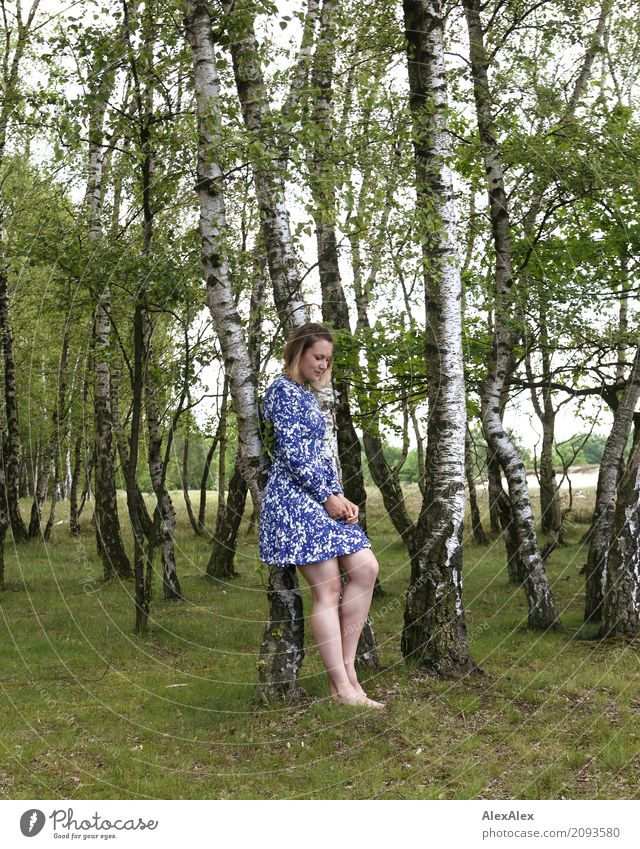 Foto mit Laura schön Ausflug Junge Frau Jugendliche Körper Beine 18-30 Jahre Erwachsene Natur Landschaft Sommer Schönes Wetter Baum Gras Birkenwald Waldlichtung