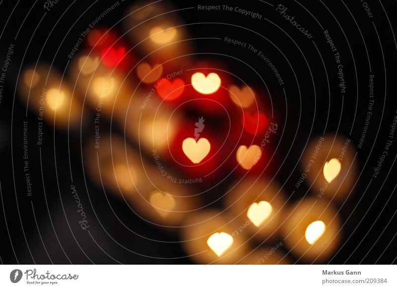 Fliegende Herzen Zeichen Gefühle Warmherzigkeit Sympathie Liebe Verliebtheit Romantik rot schwarz Farbfoto Innenaufnahme abstrakt Menschenleer