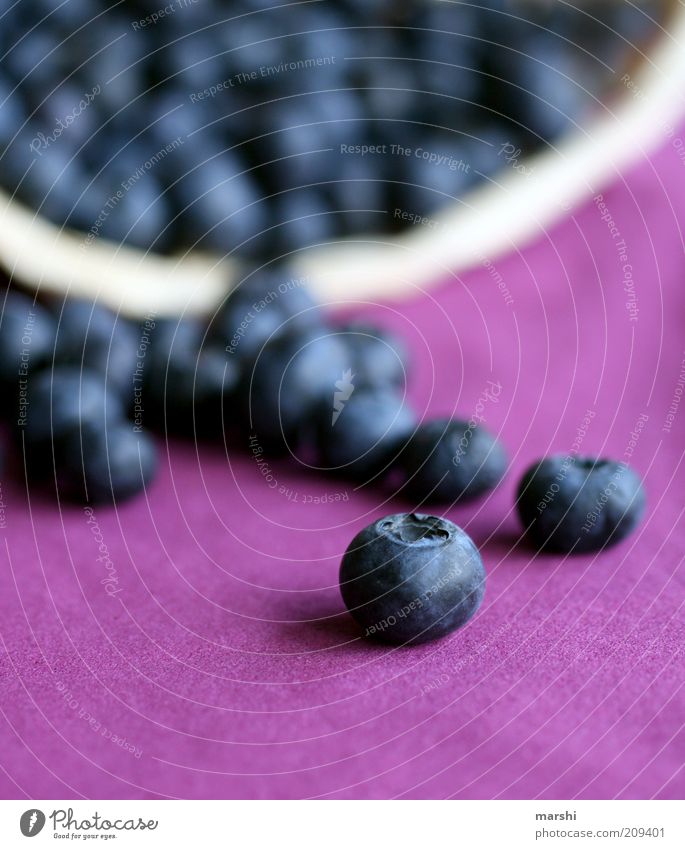 Beerenparade Lebensmittel Frucht Ernährung lecker blau violett Blaubeeren Unschärfe einzeln Gesunde Ernährung Farbfoto Vegetarische Ernährung Vegane Ernährung