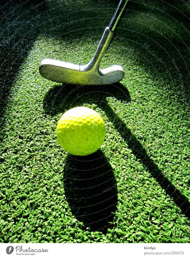 Golf 2 Freizeit & Hobby Spielen Minigolf Golfplatz Sport gelb grün schwarz ästhetisch Konzentration Golfball Golfschläger Lichtspiel Schatten Sportrasen Ball