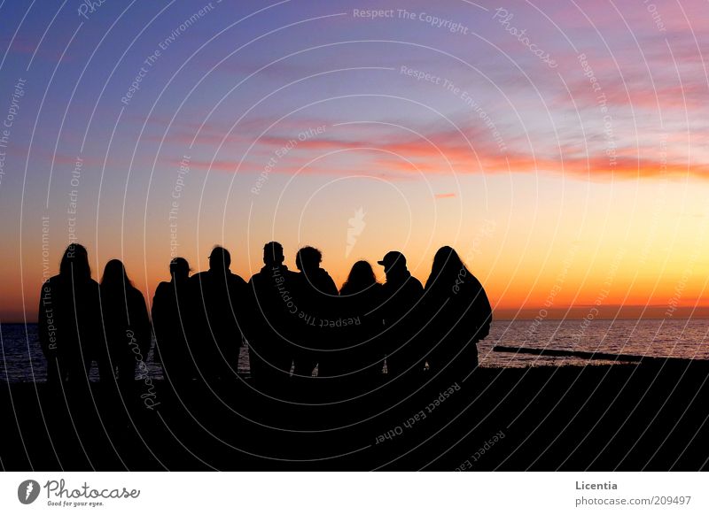 Schattenspiel maskulin Jugendliche Menschengruppe Landschaft Himmel Sonnenaufgang Sonnenuntergang Sommer Küste Strand Bucht Ostsee stehen Freundlichkeit