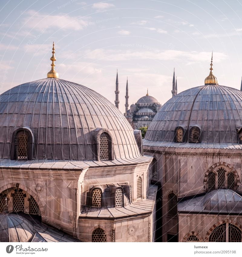 major Istanbul Türkei Europa Stadt Bauwerk Gebäude Architektur Fassade Kuppeldach Moschee Hagia Sophia Blaue Moschee Sehenswürdigkeit Wahrzeichen Denkmal gold