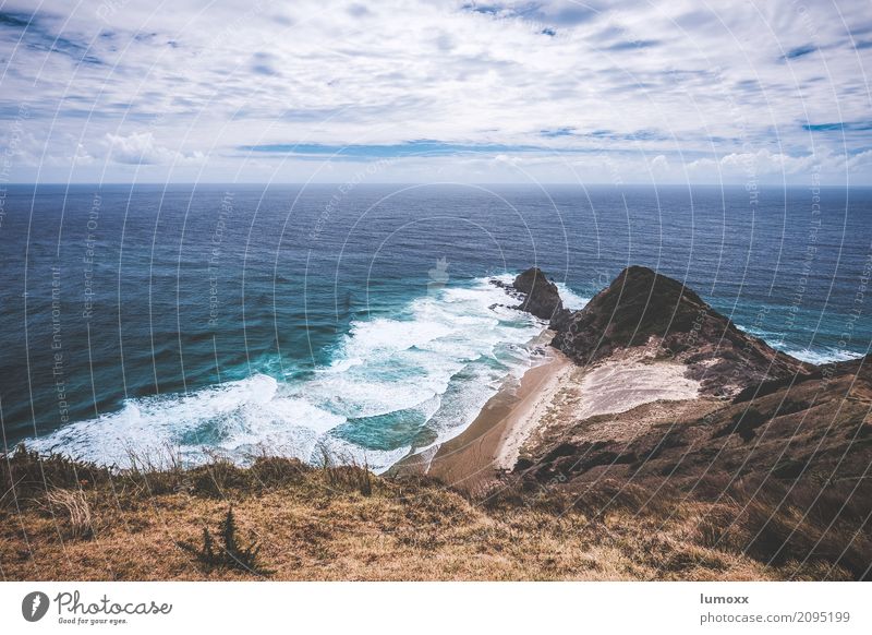 cape reinga Natur Landschaft Urelemente Wasser Wolken Sommer Küste Meer Pazifik blau braun Neuseeland abgelegen Wellen Strand Nordinsel Farbfoto Außenaufnahme
