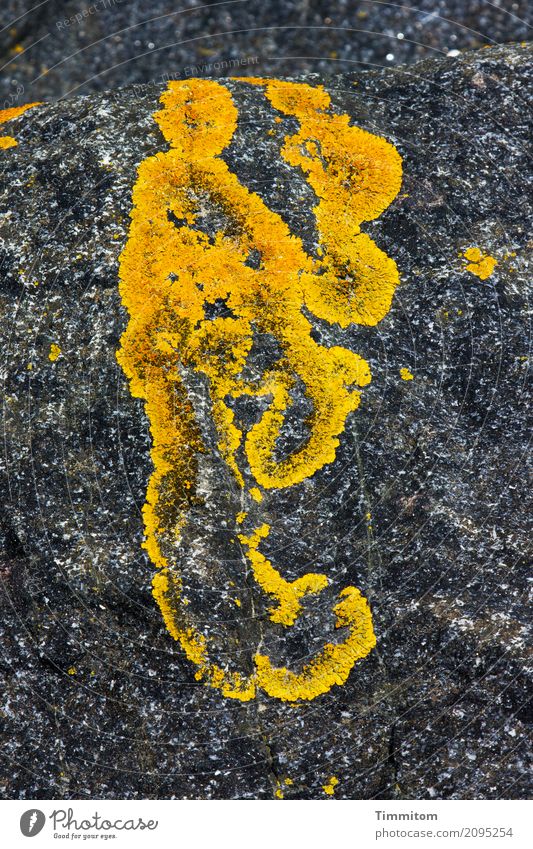 Feierlaune | Auf das Leben, die Liebe, ...und überhaupt. Umwelt Natur Flechten Stein Gefühle Phantasie Strukturen & Formen Mole Figur gelb grau einfach