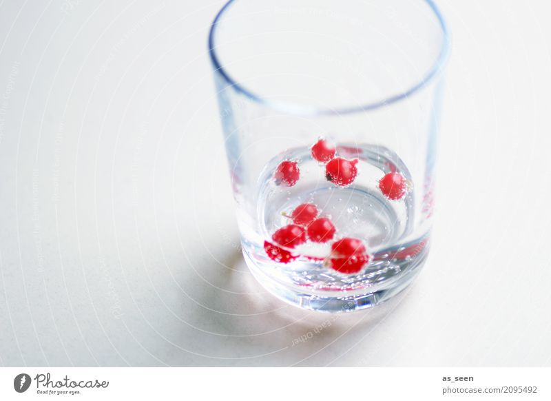 Spritzig sommerlich Lebensmittel Frucht Johannisbeeren Ernährung Getränk trinken Erfrischungsgetränk Sekt Prosecco Glas Lifestyle Stil Gesundheit Wellness