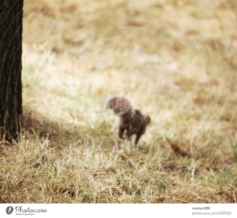 Fluchtversuch. Tier ästhetisch Eichhörnchen Fluchtweg laufen Dieb freilaufend Natur toben Spielen Streifenhörnchen Schwanz rennen Geschwindigkeit Park Angsthase