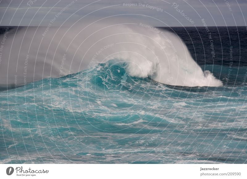 Atlantic Wave Ferien & Urlaub & Reisen Freiheit Sommer Meer Wellen Umwelt Natur Wasser Wind Sturm blau grün Farbfoto mehrfarbig Außenaufnahme Tag