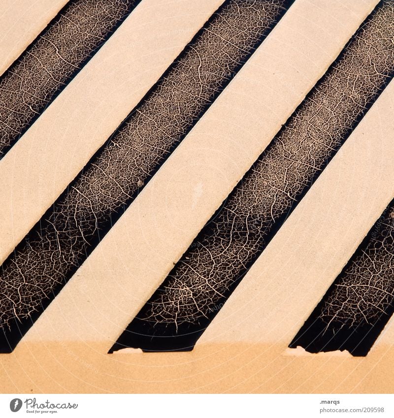 Zebra Stil Design Linie Streifen außergewöhnlich einfach einzigartig kaputt Verfall abblättern Gedeckte Farben Detailaufnahme abstrakt Strukturen & Formen