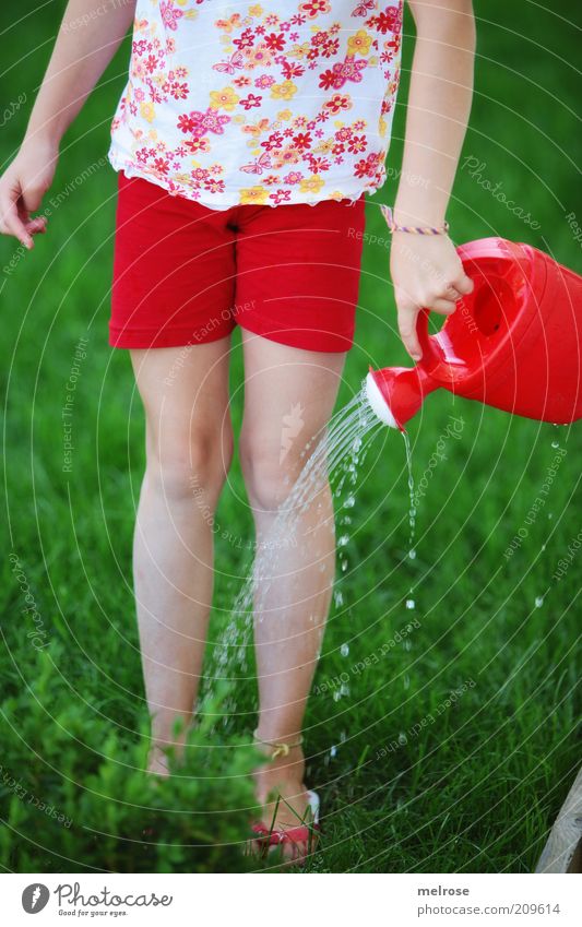 Sommer 2010 Mädchen Mensch Flipflops Gießkanne Bewegung genießen Glück grün rot Zufriedenheit Shorts sommerlich Wasserstrahl Wassertropfen Gartenarbeit kindlich