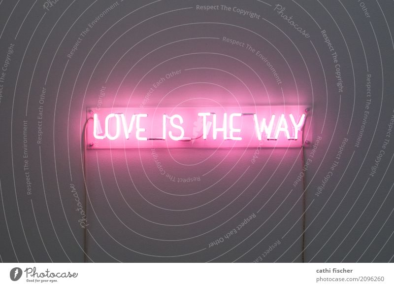 Love Is The Way Design Innenarchitektur Dekoration & Verzierung Lampe Raum Valentinstag Hochzeit Kunst Mauer Wand Schriftzeichen Schilder & Markierungen