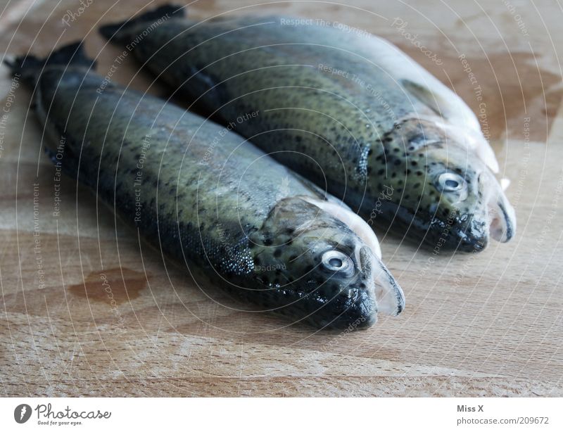 Heut gibts Kalt Lebensmittel Fisch Ernährung Abendessen Bioprodukte Tier 2 frisch lecker Forelle Farbfoto Gedeckte Farben Innenaufnahme Nahaufnahme Menschenleer