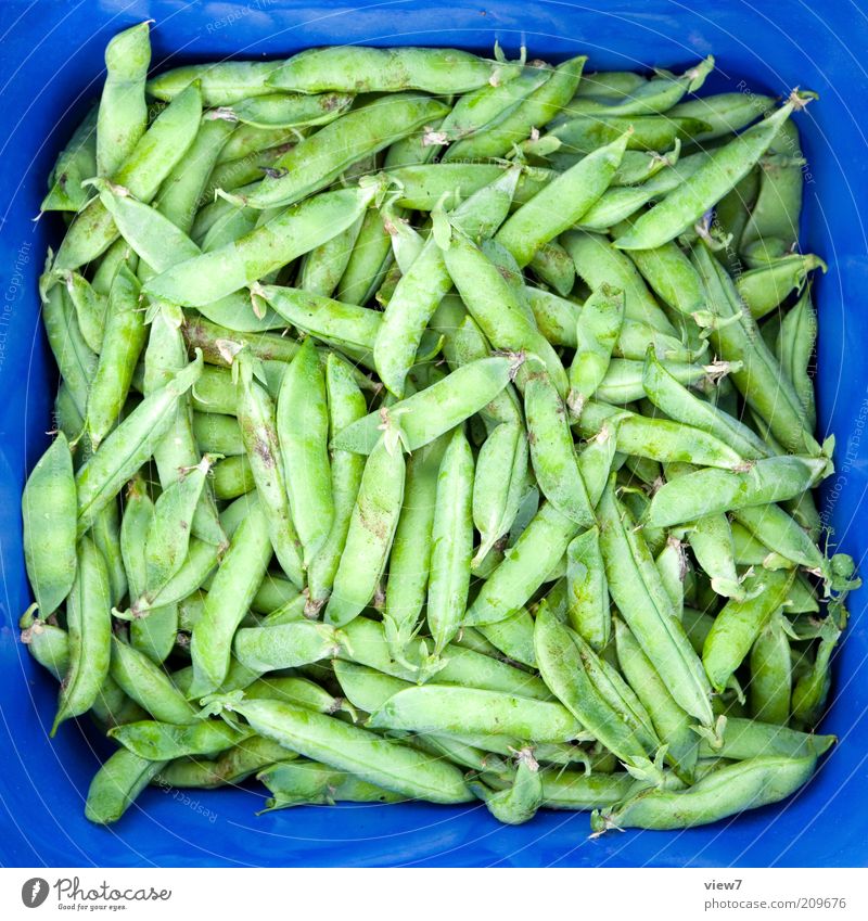 Erbsen Gemüse Ernährung Pflanze Verpackung Schalen & Schüsseln Kasten authentisch dreckig einfach exotisch frisch gut natürlich Sauberkeit blau grün Farbe
