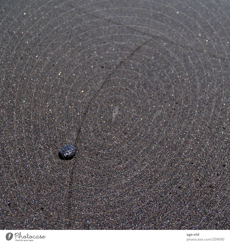 Borderliner Natur Sand Sommer Küste Strand Meer Atlantik Stein liegen einzigartig grau schwarz weiß ruhig Trennung Linie Grenze dunkel glänzend Menschenleer