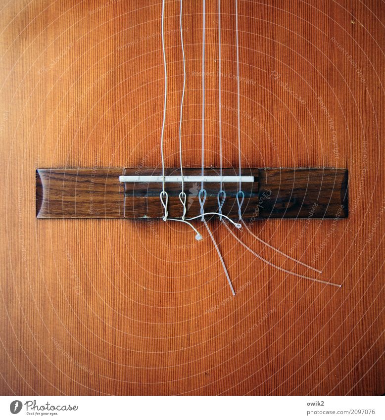 Entspannter Sound Kunst Musik Gitarre Steg Saite gespannt beweglich Holz Kunststoff dünn fest Zusammensein braun orange Einigkeit Erholung gleich Krise Kultur
