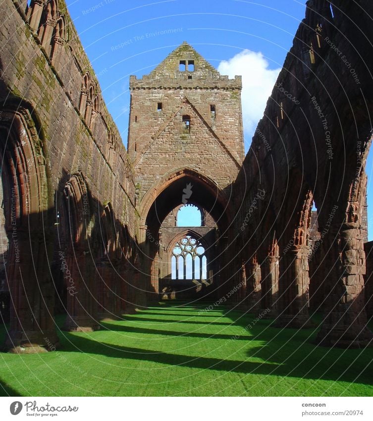 Sweetheart Abbey Scotland Schottland Großbritannien Kloster Ruine Verfall Licht Frühling grün Wiese Europa New Abbey Religion & Glaube Schatten alt Sonne