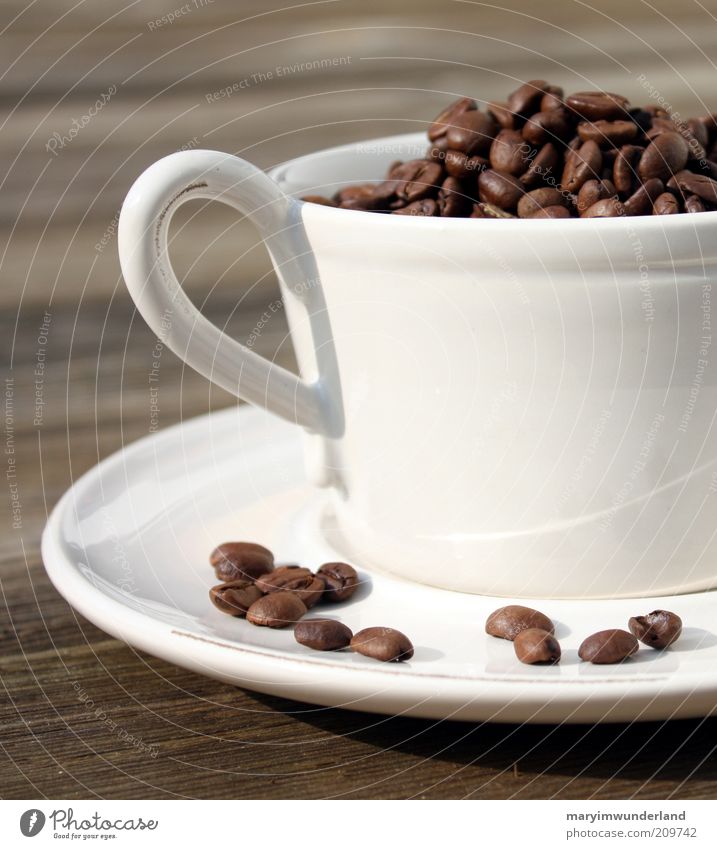 tasse kaffee gefällig? Heißgetränk Kaffee Latte Macchiato Espresso Tasse Tragegriff harmonisch Wohlgefühl Zufriedenheit Sinnesorgane Erholung ruhig Duft