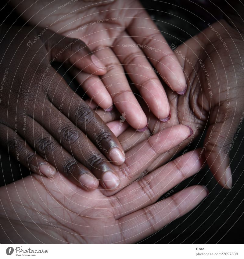 Lebenselixir | Caring, Diversity and Humanity feminin Haut Hand Finger 2 Mensch Linie festhalten liegen Zusammensein natürlich schön Zufriedenheit Lebensfreude