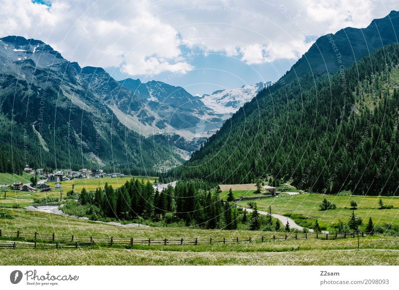 Sulden Umwelt Natur Landschaft Sommer Schönes Wetter Wiese Wald Alpen Berge u. Gebirge Gletscher Dorf natürlich blau grün Erholung Farbe Freizeit & Hobby Idylle