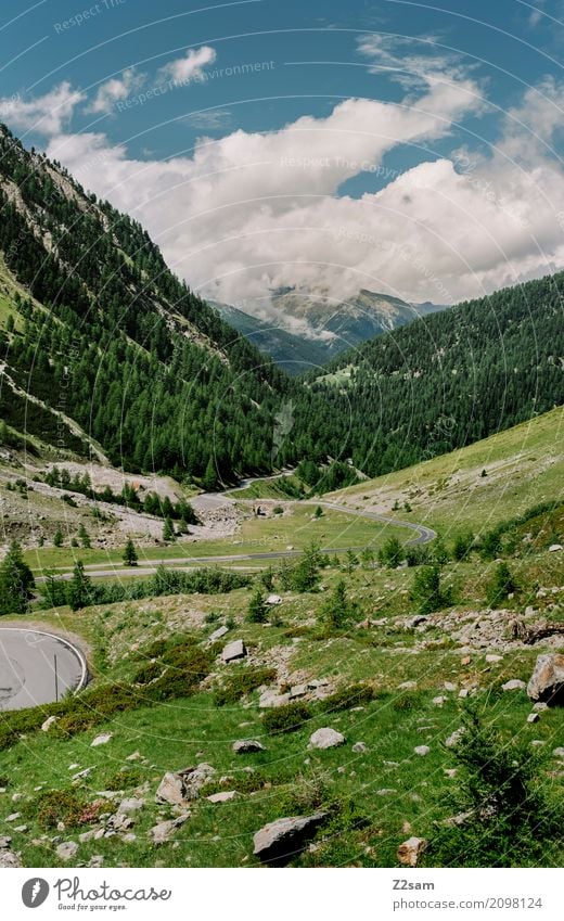 umbrailpass Natur Landschaft Sommer Klima Schönes Wetter Wiese Felsen Alpen Berge u. Gebirge Straße Hochstraße gigantisch Unendlichkeit blau grün ruhig