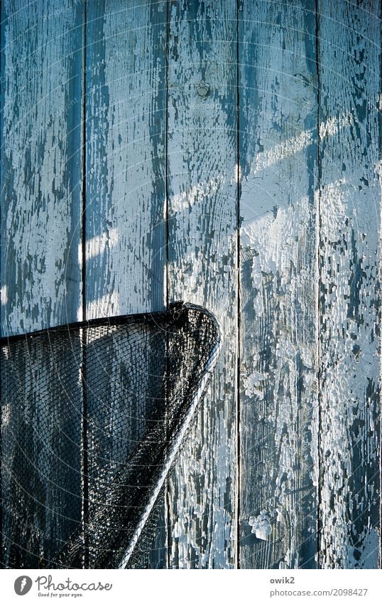 Schonzeit Gartenhaus Holzwand Mauer Wand Fassade Kescher Netz Fischereiwirtschaft Metall Kunststoff warten alt bedrohlich trashig trocken blau schwarz türkis