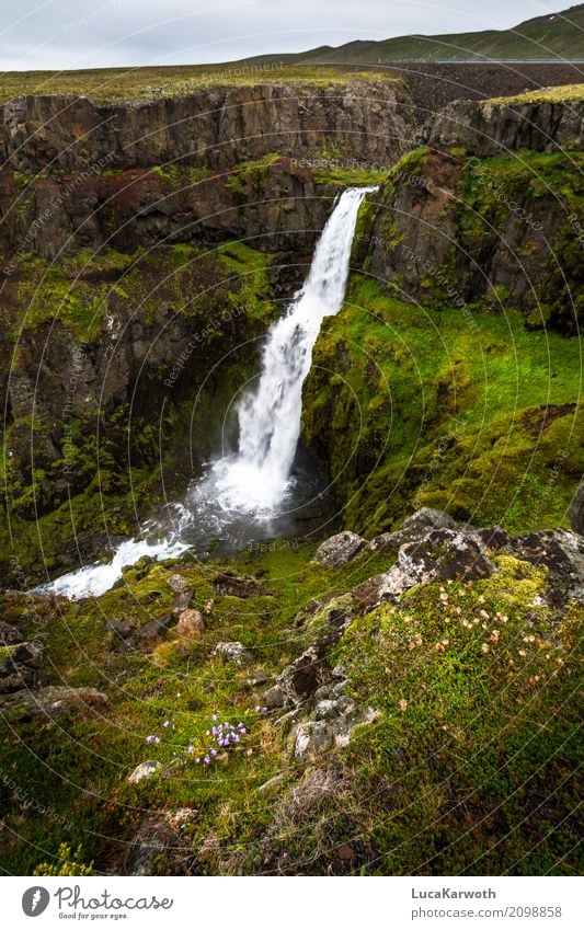 Wasserfall Island Umwelt Natur Landschaft Pflanze Wetter Blume Gras Sträucher Moos Felsen Berge u. Gebirge Bucht Menschenleer Sehenswürdigkeit Straße Stimmung