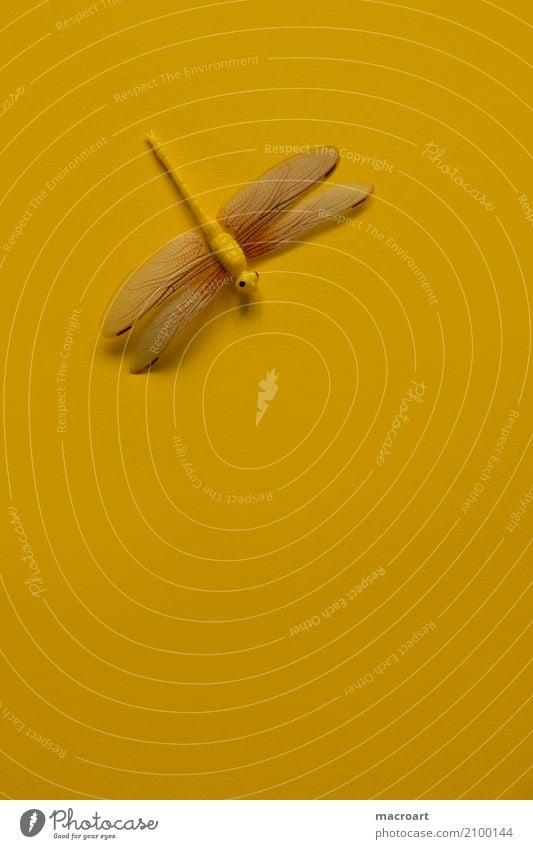 Libelle Insekt künstlich Dekoration & Verzierung rot gelb Sommer Frühling einzeln liegen Single Tier Flügel